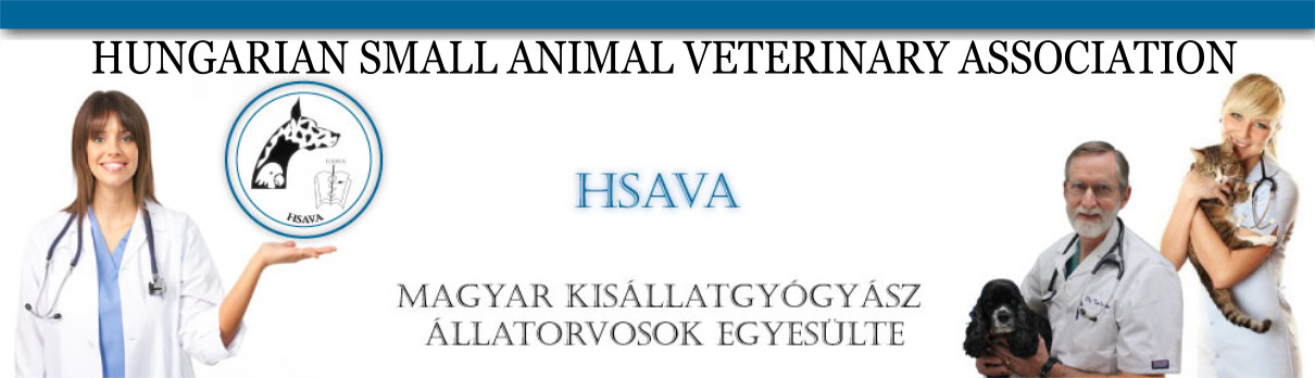 HSAVA.hu